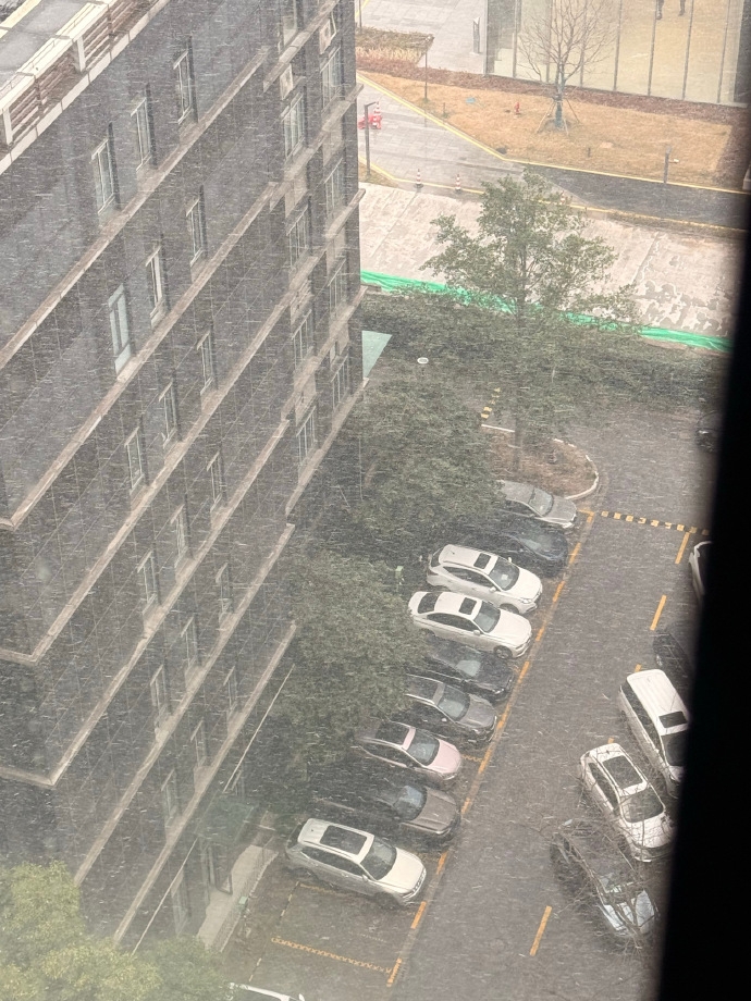 上海雪景照洗板社媒。 微博@今晚偷亲我嘛