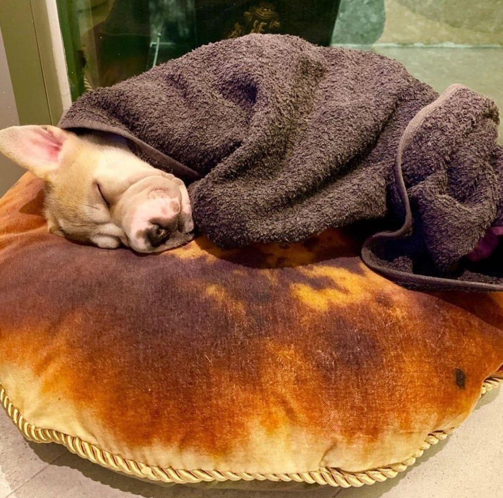 Kasha瞓得好冧呀！