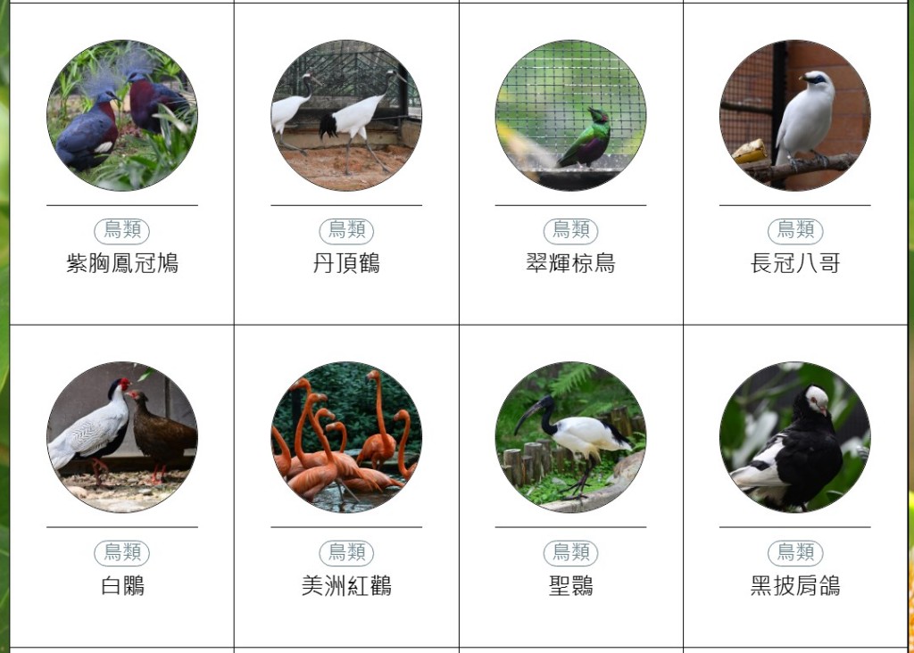 香港動植物公園動物圖鑑。「香港動植物公園」官方網站截圖 香港動植物公園動物圖鑑。「香港動植物公園」官方網站截圖