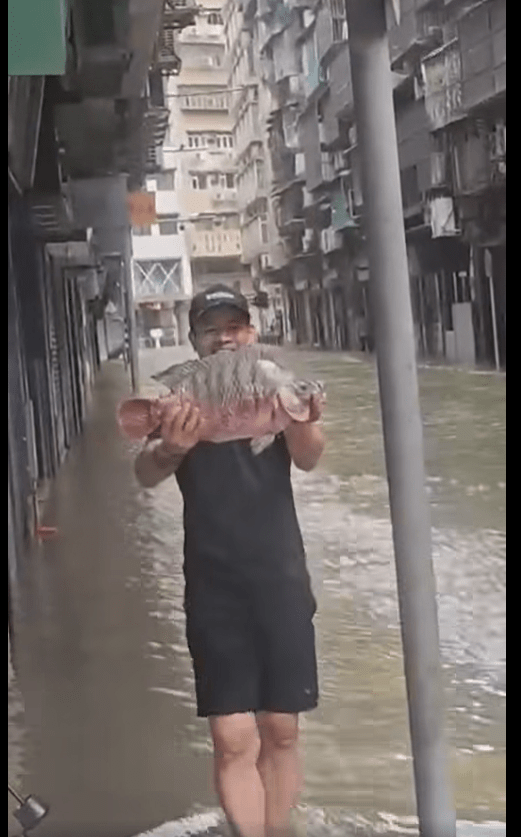 有網民指澳門因超強颱風樺加沙導致部分街道或低窪地區水浸，魚穫隨處可見。FB圖片