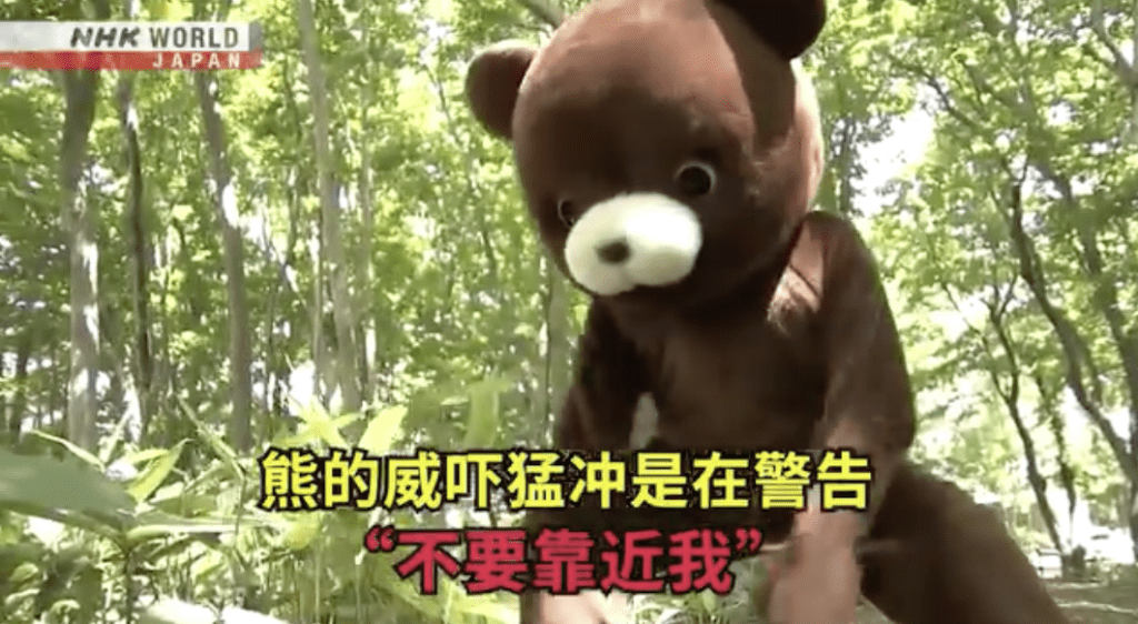 影片提醒,如遠距離發現熊,應立刻停步、保持冷靜,切勿奔跑或拍照挑釁。 影片提醒,如遠距離發現熊,應立刻停步、保持冷靜,切勿奔跑或拍照挑釁。