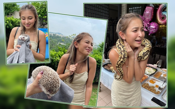 Hilary见到刺猬及蟒蛇惊到震。