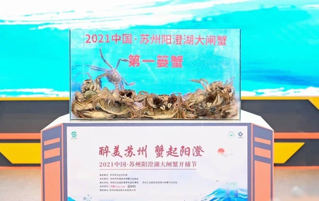 今日是陽澄湖大閘蟹開捕節。互聯網圖片