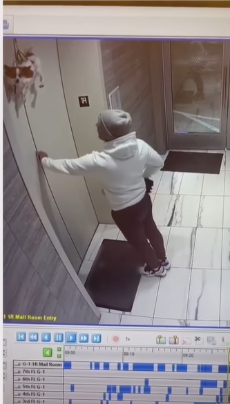 手机男尝试徒手拉开升降机门。网上截图