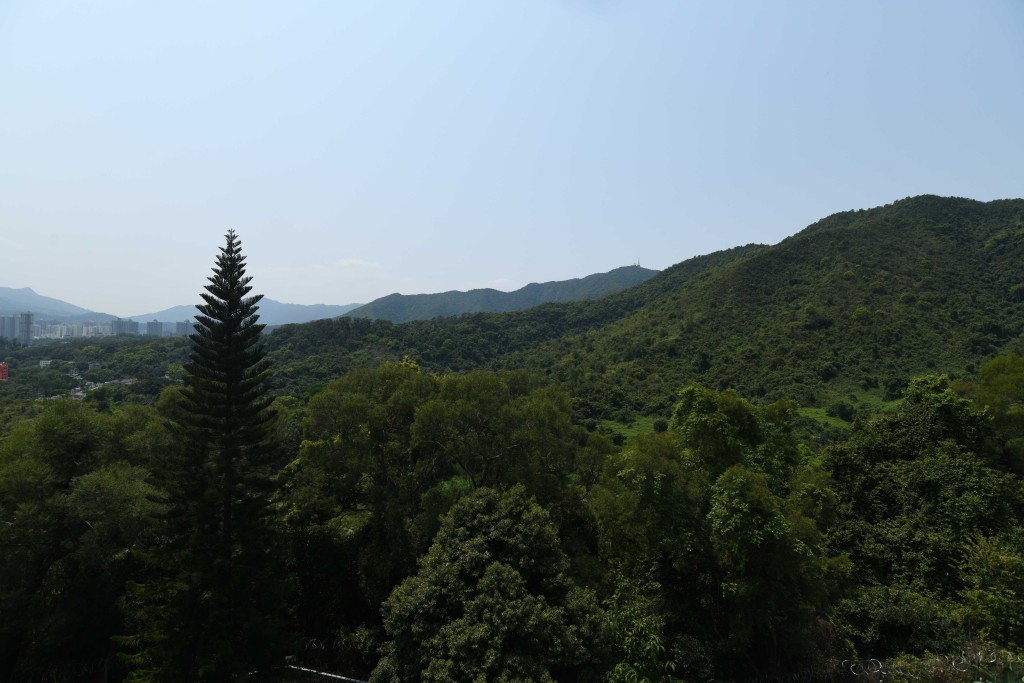从洋房外望为开扬的山景,绿意盎然。
