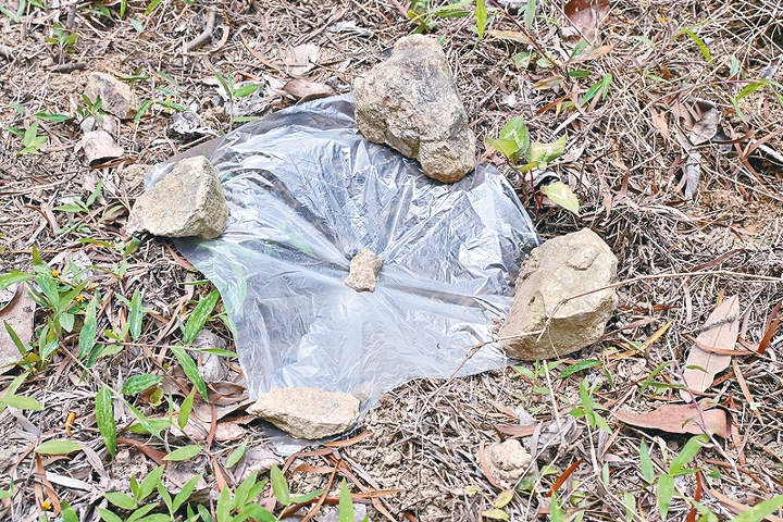 以石頭來蒸餾「倒汗水」,待上數小時便可凝聚成為水點。