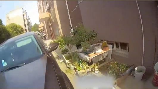 河南3名小學生發現有人在路邊種植罌粟。中新社