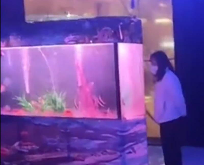 網民笑言：「海鮮市場的魚缸都比這大」 網片截圖