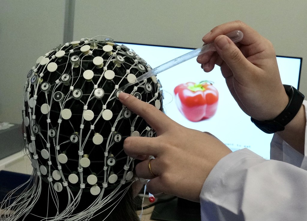 中心將腦部成像技術應用於跨學科研究。