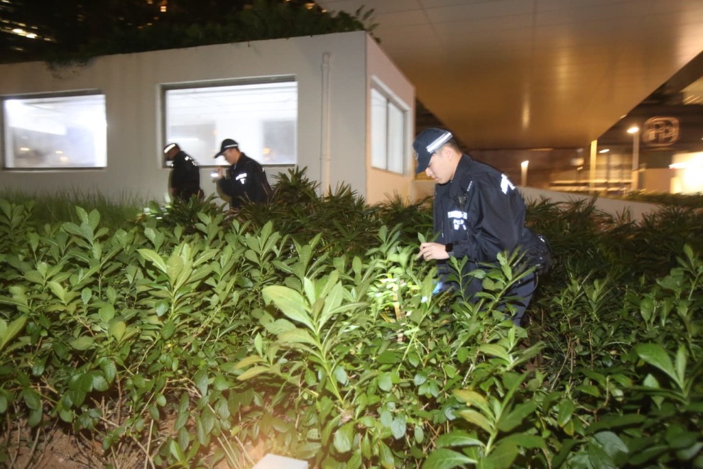 警員在草叢蒐證。