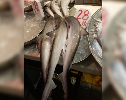 鯊魚仔28元3條。食在元朗FB