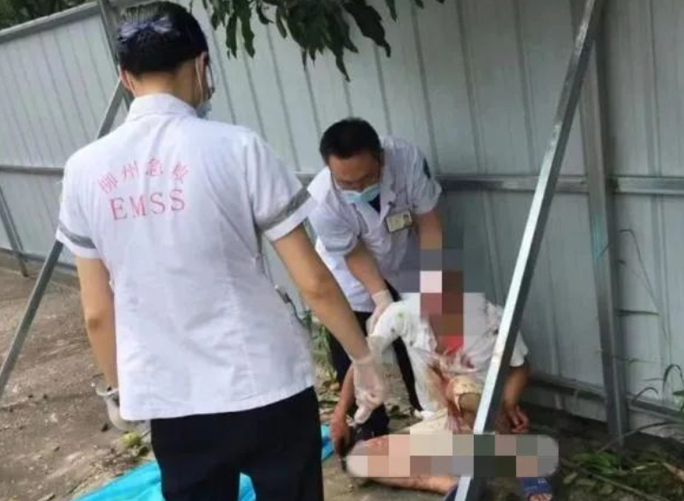 去年廣西柳州也有男子徒手爬樹摘果，摔成頭破血流。