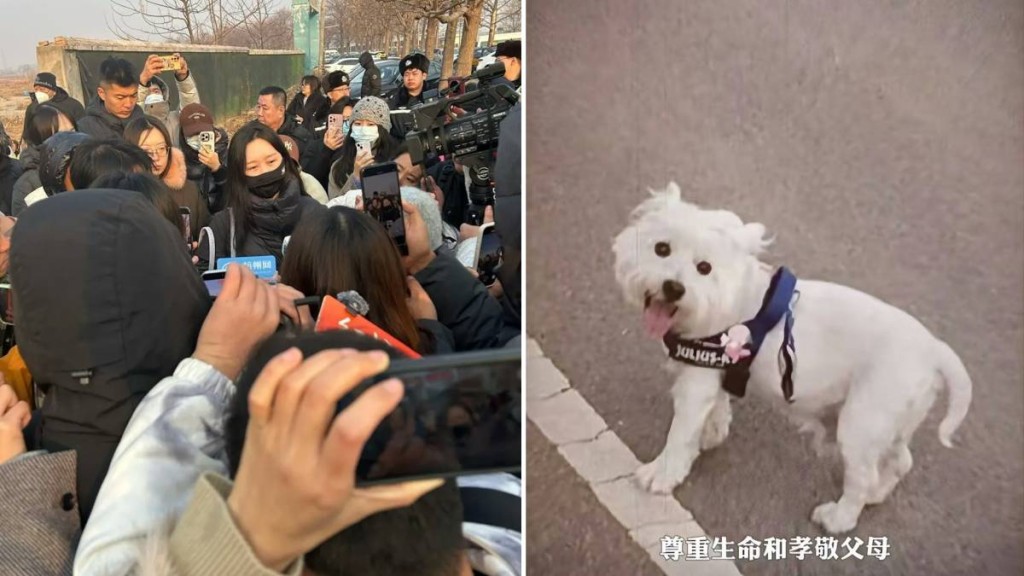 李女士(中)的愛犬被毒殺。極目新聞