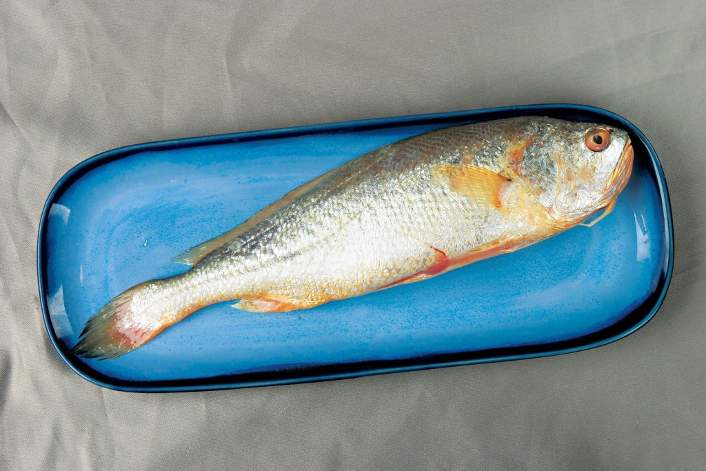 黃花魚是屬於水銀(汞)含量則較低的魚類。資料圖片