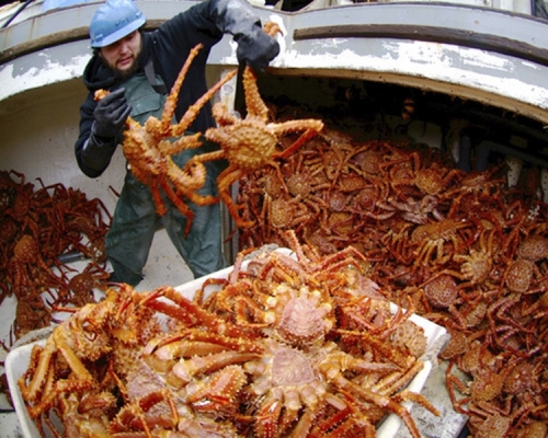 阿拉斯加捕蟹人的傷亡率比一般的工作高出50倍，平均每7天便會有1名捕蟹人喪生。AP圖片