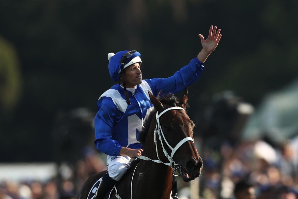 馬后「雲絲仙子」曾連贏三十三場創下紀錄，成為一代傳奇。