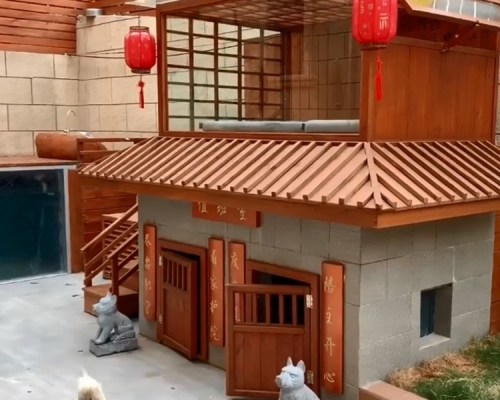 江蘇狗主人花過萬元為狗建豪華別墅，有泳池烘乾房。影片截圖
