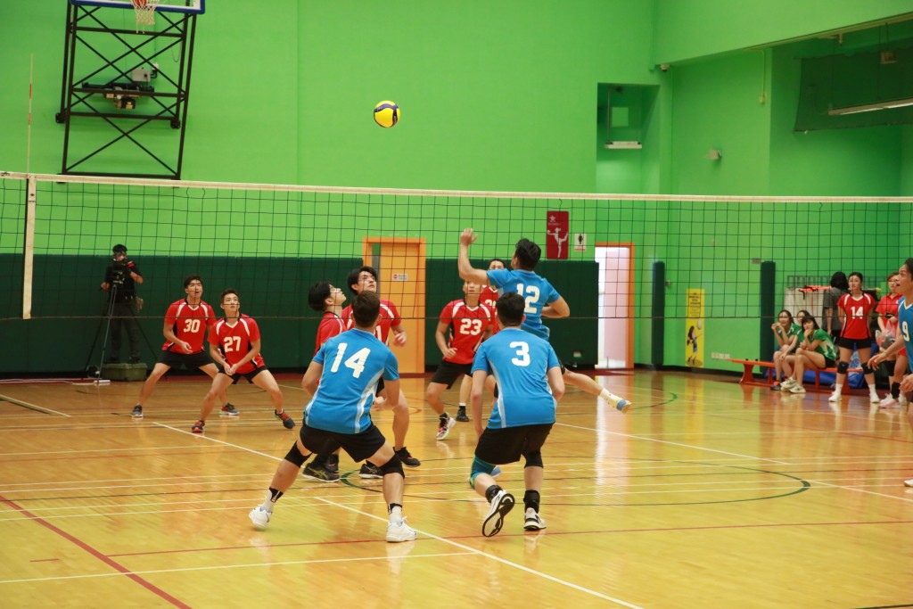 一眾藝員落力比賽。