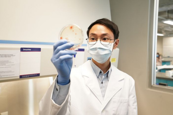 陳俊邦研發的長效且抗擦拭力強的納米抗菌塗層,獲多間機構採用。VTC提供圖片