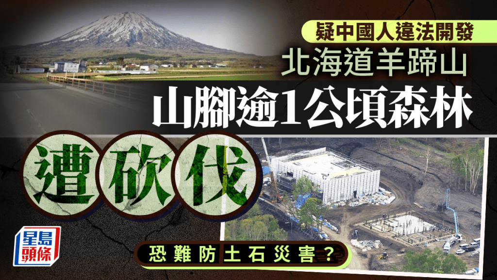 北海道羊蹄山腳逾1公頃森林遭砍伐 疑中國人違法開發 工程已被叫停