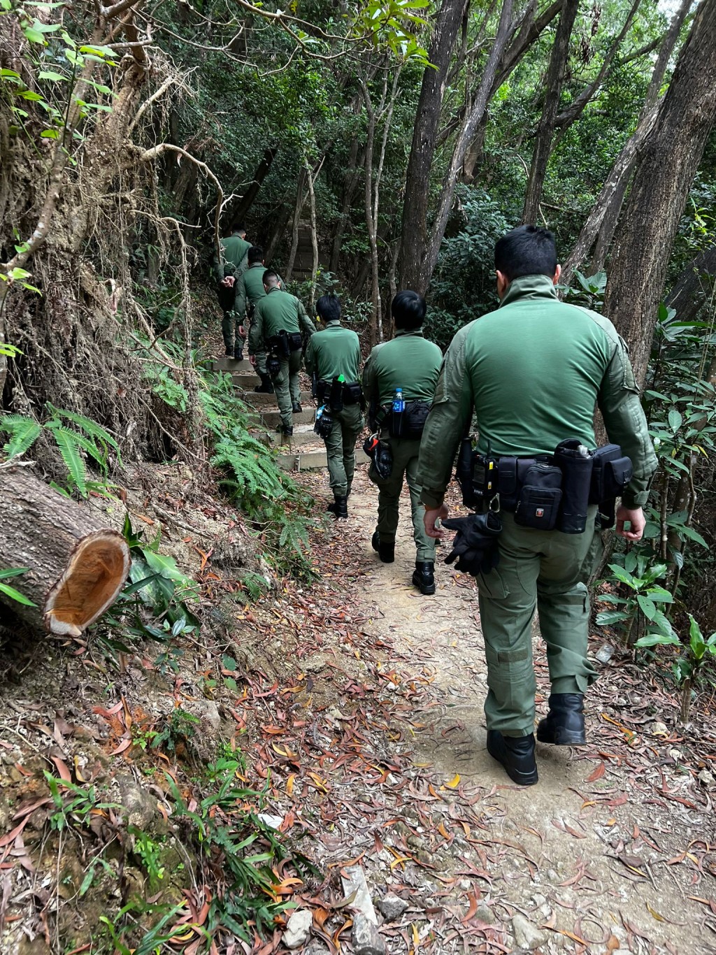 警方派员巡查山坡丛林。警方图片