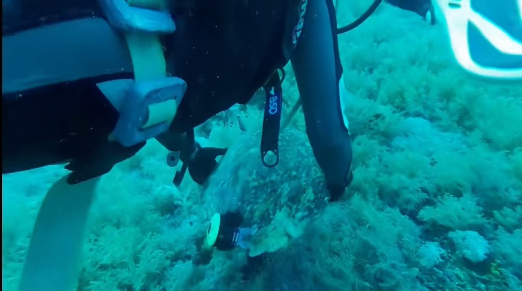 中國潛水客被指在水下做出拖拽極危物種玳瑁、故意捏斷珊瑚等破壞行為。《揚子晚報》