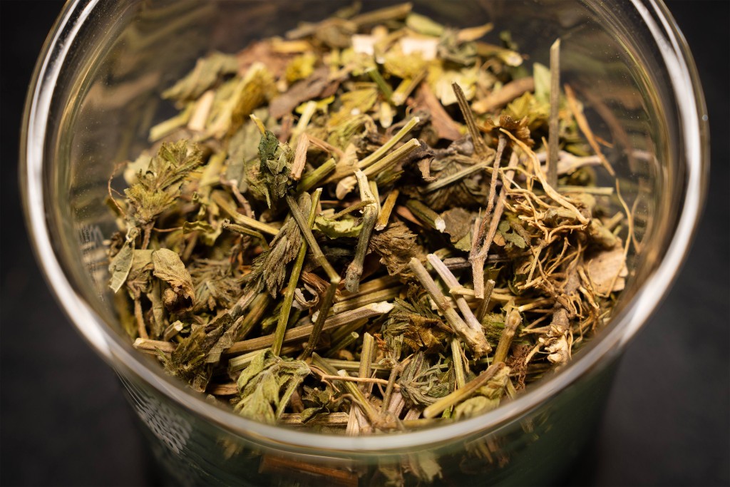 爵床屬中藥植物的抗病毒活性成分為一種木脂素類化合物,能透過抑制胞內體的酸化過程,阻斷病毒入侵宿主細胞。浸大提供 爵床屬中藥植物的抗病毒活性成分為一種木脂素類化合物,能透過抑制胞內體的酸化過程,阻斷病毒入侵宿主細胞。浸大提供