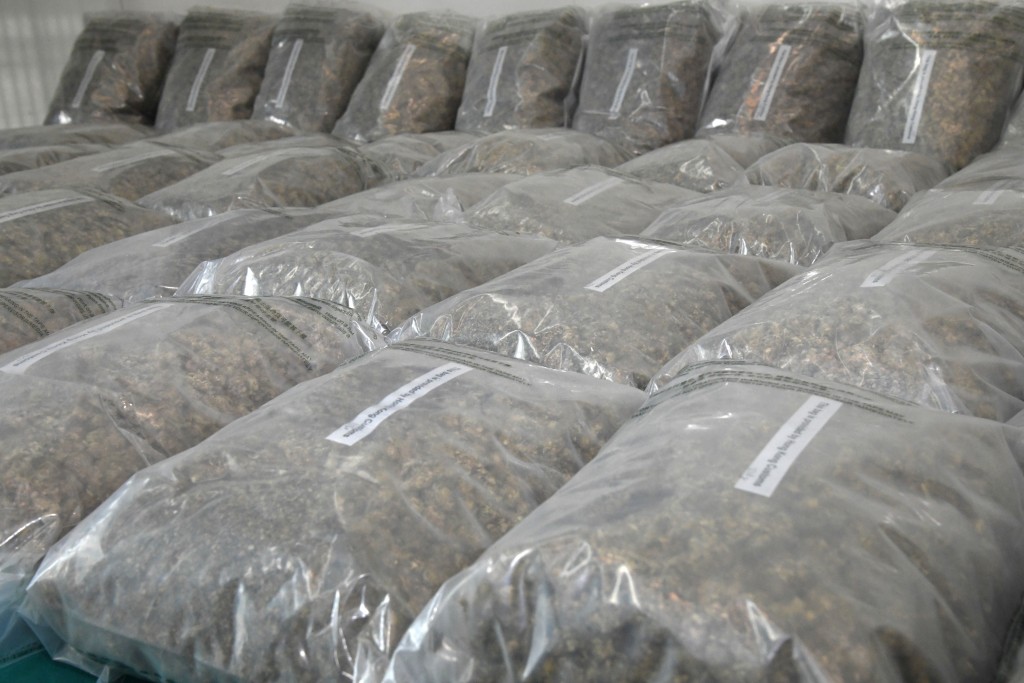 海關檢獲約77公斤懷疑大麻花，估計市值約1600萬元。