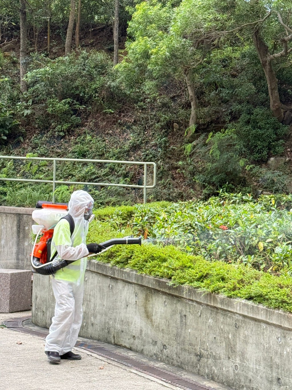 政府派員進行滅蚊工作。資料圖片