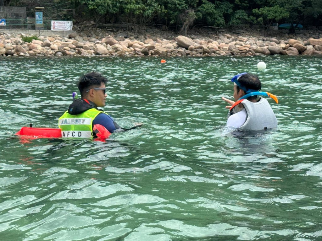 圖檔