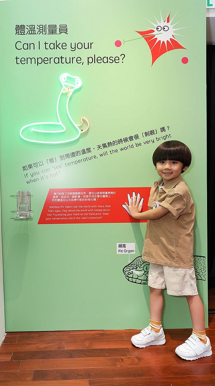 展區七︰體溫測量員