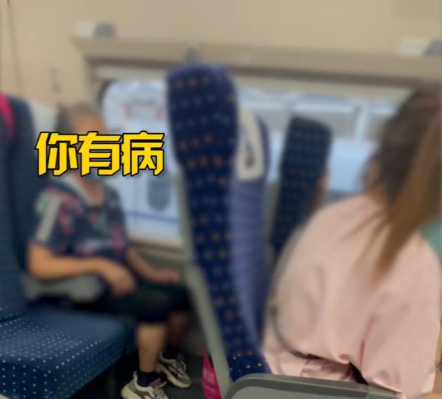 火爆老太狂鬧前座女子。網圖