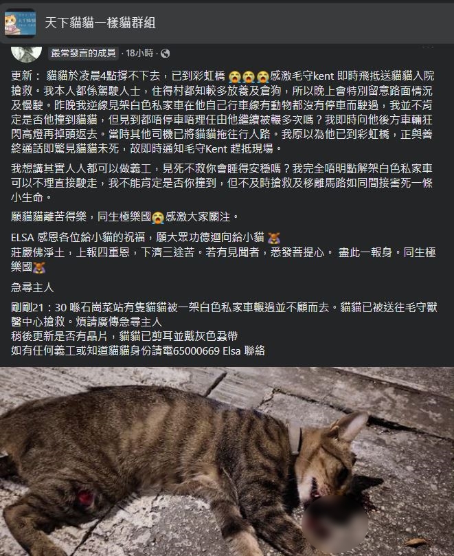 发现猫咪被撞的热心人Elsa发帖，指猫咪是今日凌晨4时撑不住「已到彩虹桥」。