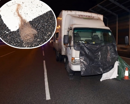 现场遗下死者的肉碎，和一撮金啡色头发（小图）。