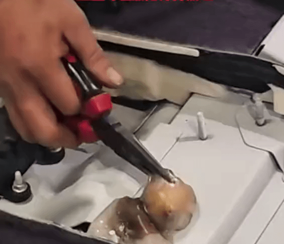 八爪鱼被㓥逃脱钻车内失踪3天变腐尸，师傅拉出被腥臭熏得差点呕。