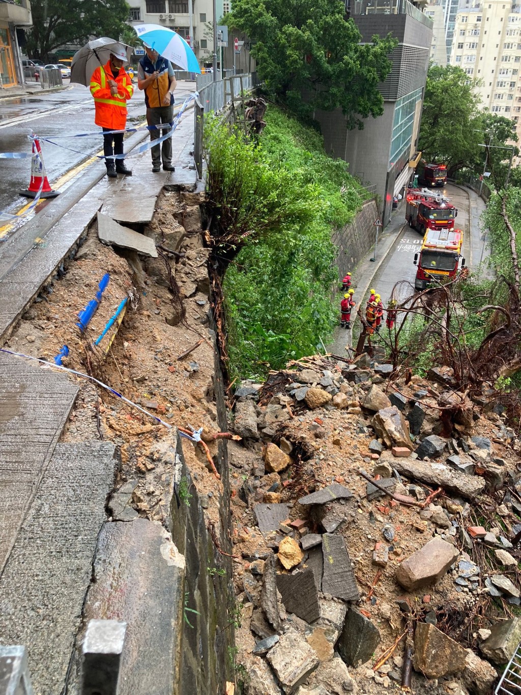本港多區出現塌樹、水浸及山泥傾瀉的情況。FB「土力場」圖片