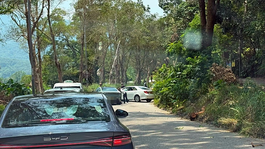林錦公路發生兩車相撞意外。網圖 林錦公路發生兩車相撞意外。網圖