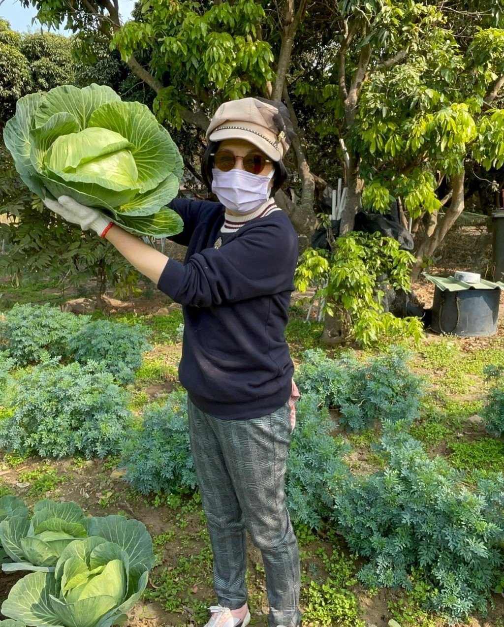 汪明荃亲自挑选萝卜。