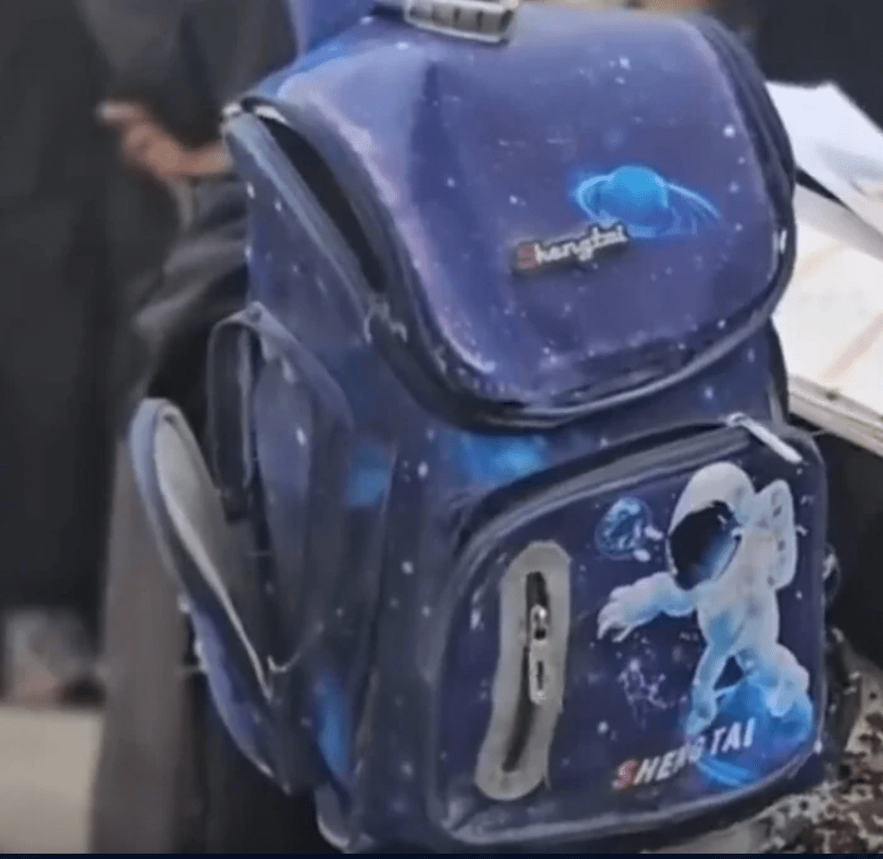 眼尖網友發現，這個藍色書包上印有「SHENG TAI」拼音標誌。