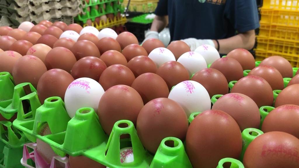 近年持續雞蛋荒已開始影響食肆及民生。中時