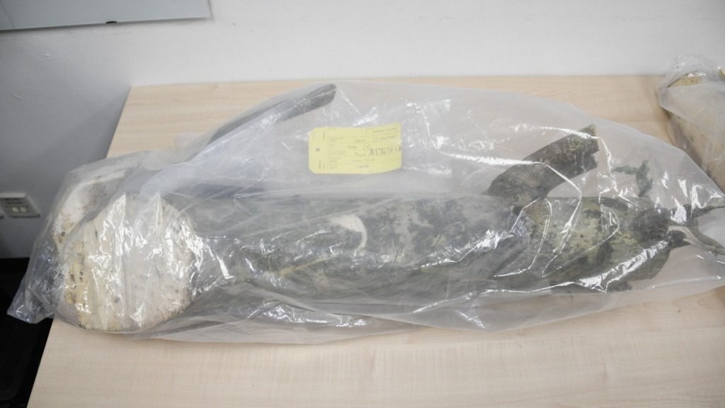 警方檢獲的沉香木及沉香，約值230萬元。