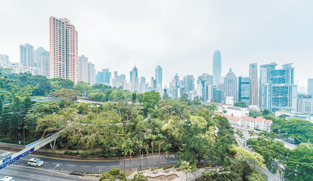 單位前臨香港動植物公園，遠望中環繁華景致。