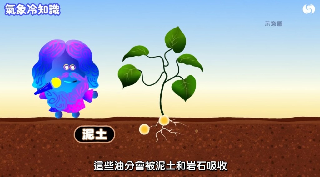 香港天文台《氣象冷知識》「汪汪夢裏聞:下雨的味道」截圖。 香港天文台《氣象冷知識》「汪汪夢裏聞:下雨的味道」截圖。