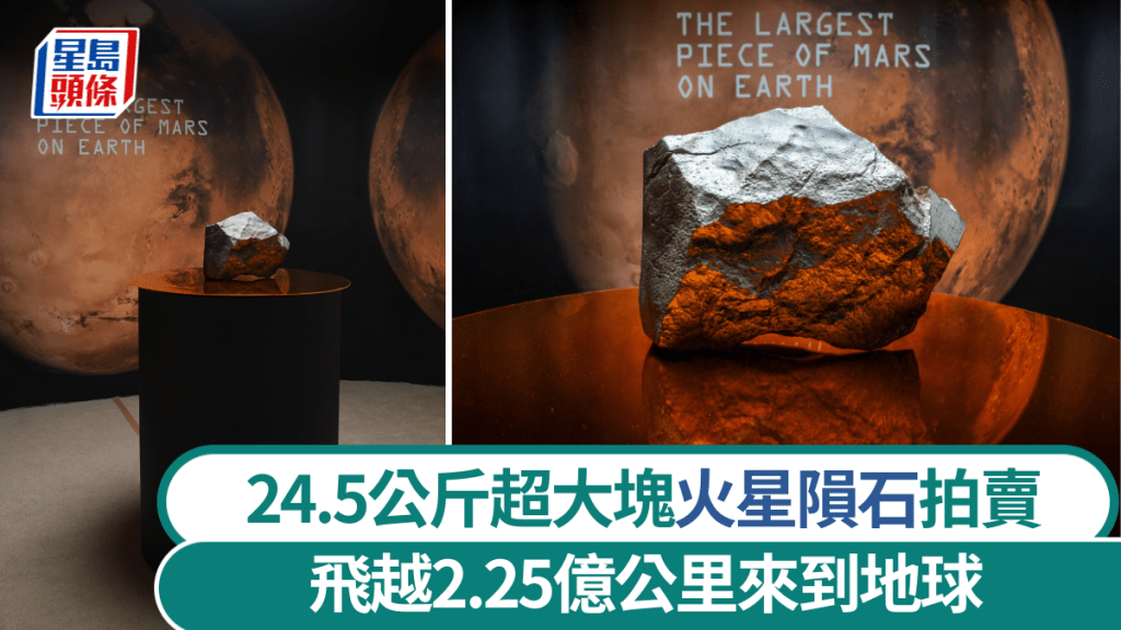 地球最大塊火星隕石NWA 16788拍賣。 美聯社