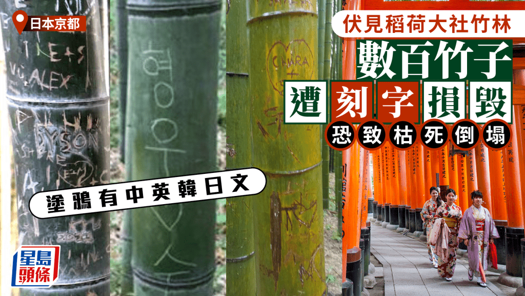 京都伏見稻荷大社竹林遭破壞 遊客刻字「到此一遊」 引發眾怒