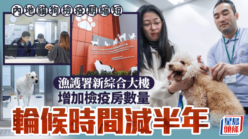 内地猫狗检疫期缩短 渔护署新大楼增检疫房数量 轮候时间减半年