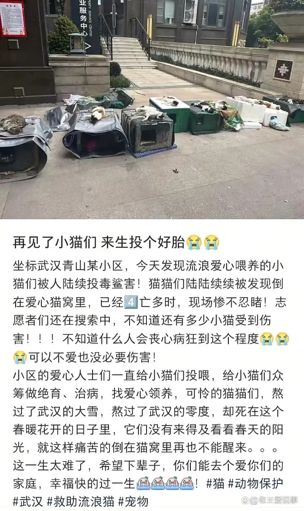 屋苑居民發文。
