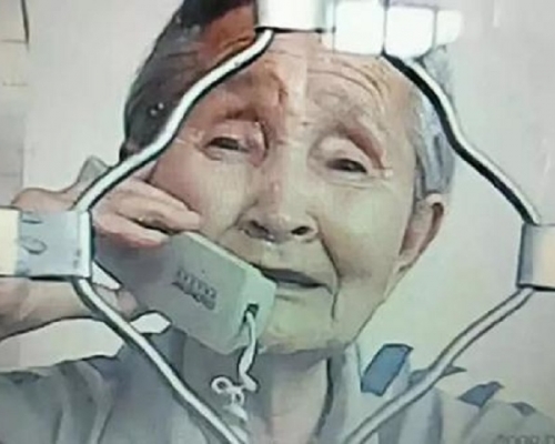 85歲的李淑賢,因種植的樹木被砍上訪,更被尋釁滋事罪判入獄兩年。網圖