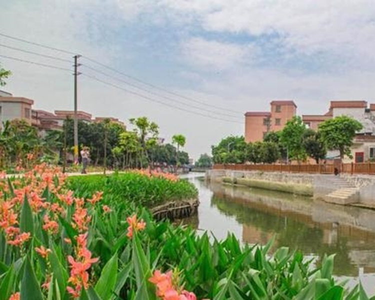 广东省建设森林小镇，推动生态旅游。网图