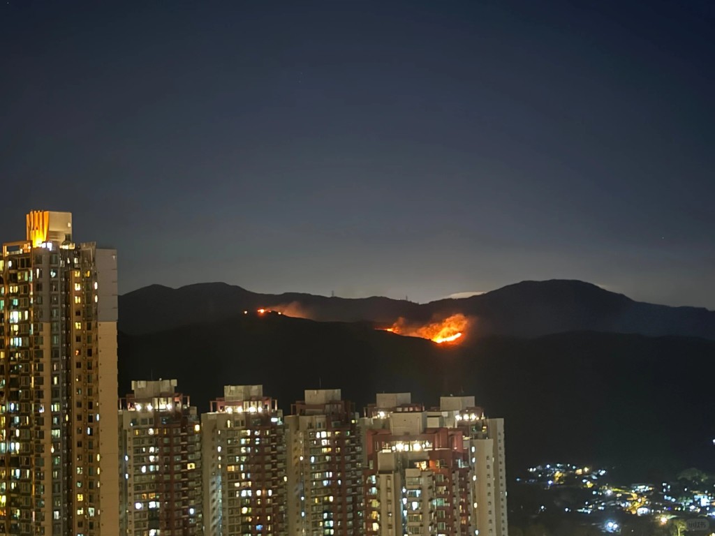 元朗掌牛山發生山火,現場有一條500米火線。網上圖片 元朗掌牛山發生山火,現場有一條500米火線。網上圖片